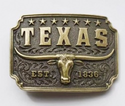 HX534 western buckle