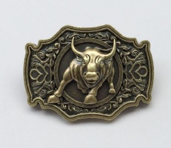 HX589 western buckle